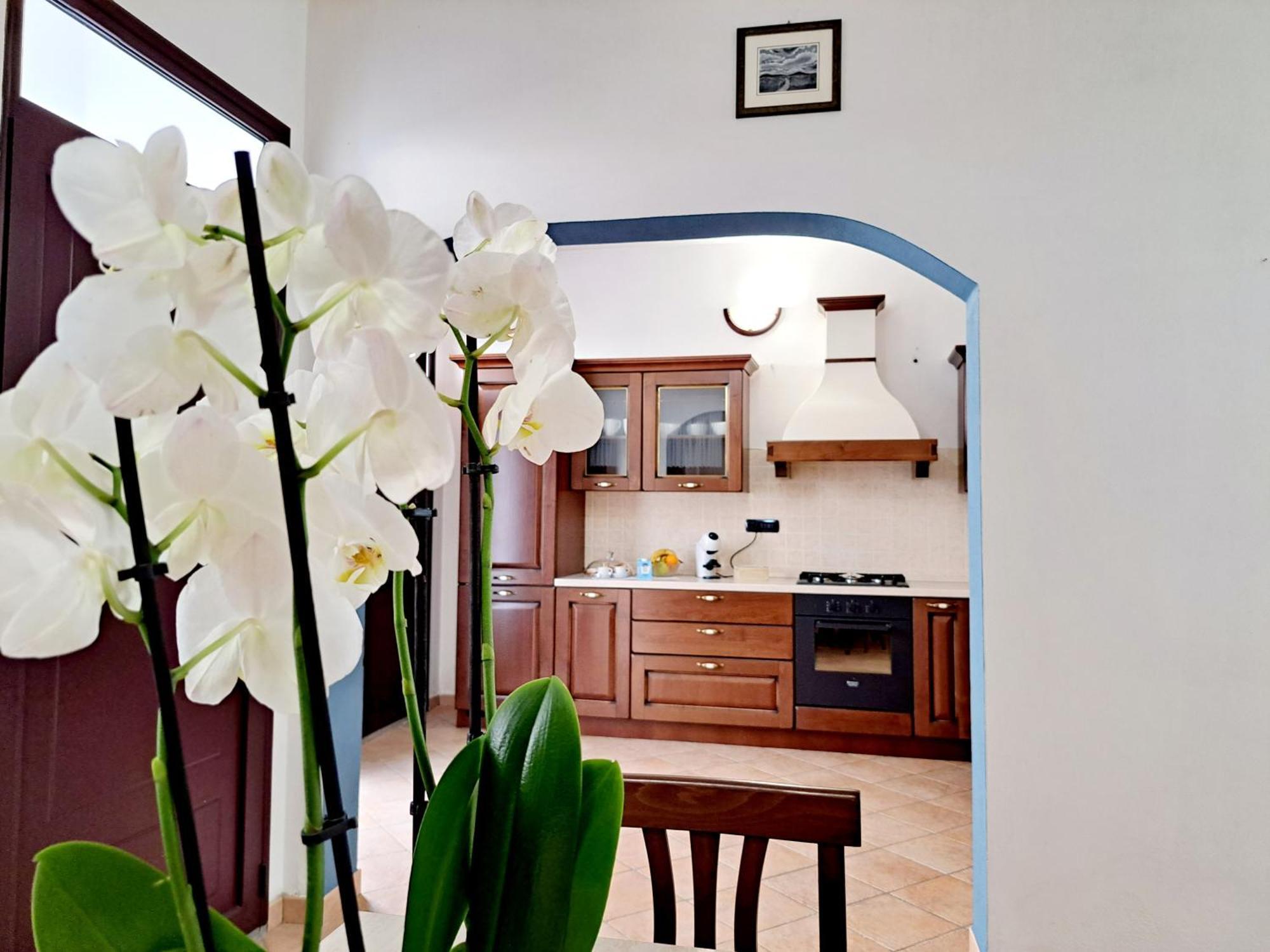 Anninnia Guest House B&B - Ghiiarza Ghilarza 외부 사진